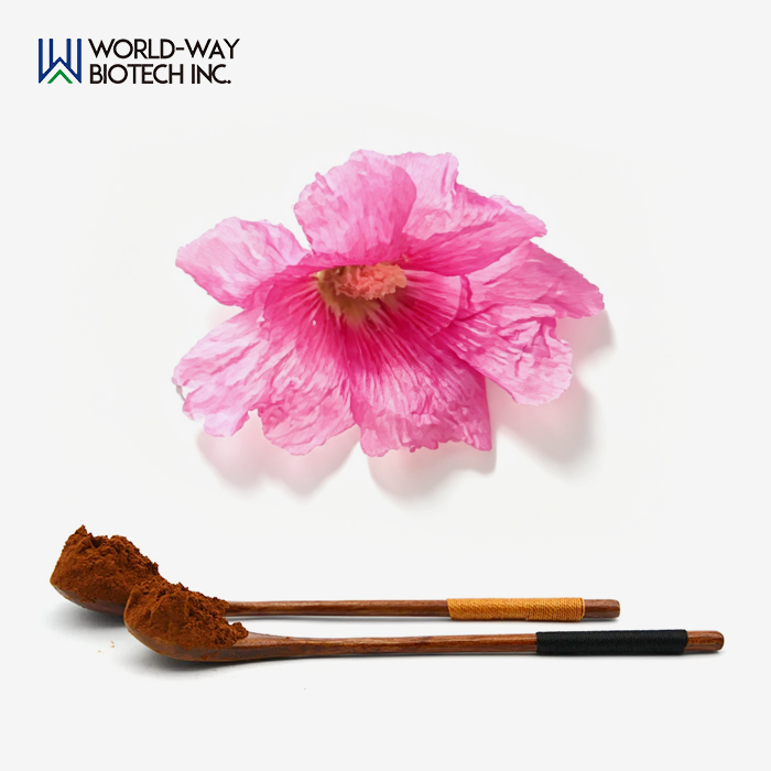 Alcea Rosea L. Extract